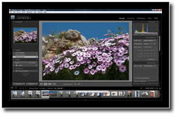 lightroom