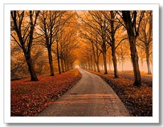 Lars van de Goor