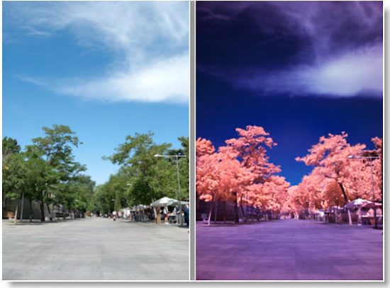 filtros para cámaras filtros para cámaras