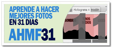 AHMF31 [d�a 11]