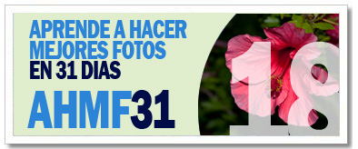AHMF31 [d�a 18]