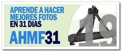 AHMF31 [d�a19]
