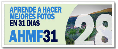 AHMF31 [d�a28]