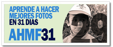 AHMF31 [d�a 29]