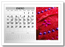 Calendario 2010 Photoshop Gratis