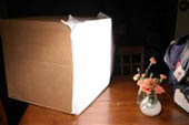 Softbox